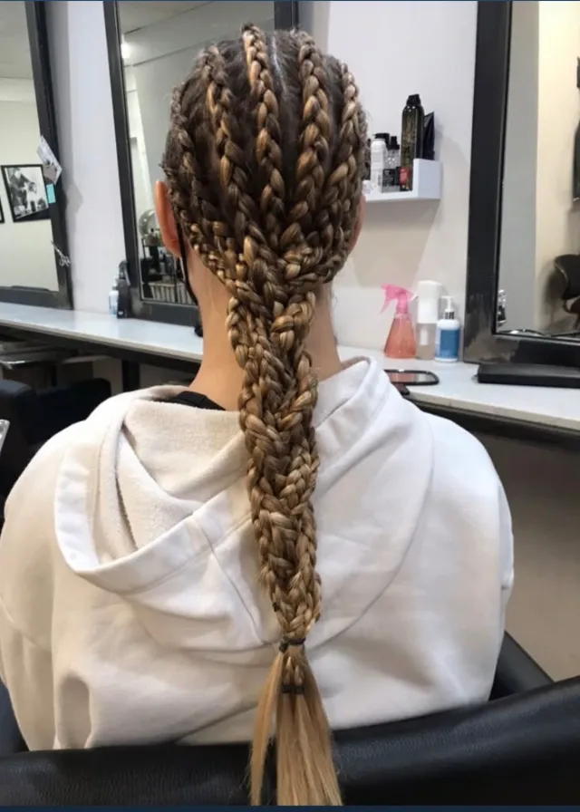 Multiple braids gathered into a single long braided tail.